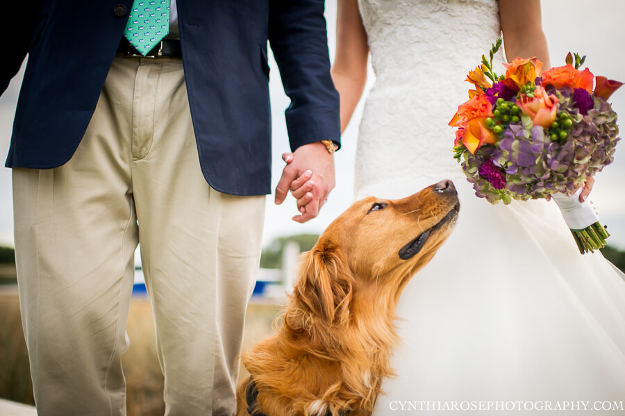 barks and blooms wedding services